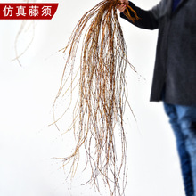 �Ř����횸�횘��٘�֦�ɵ�피ٻ��b��ٗl��������ֲ���쾰