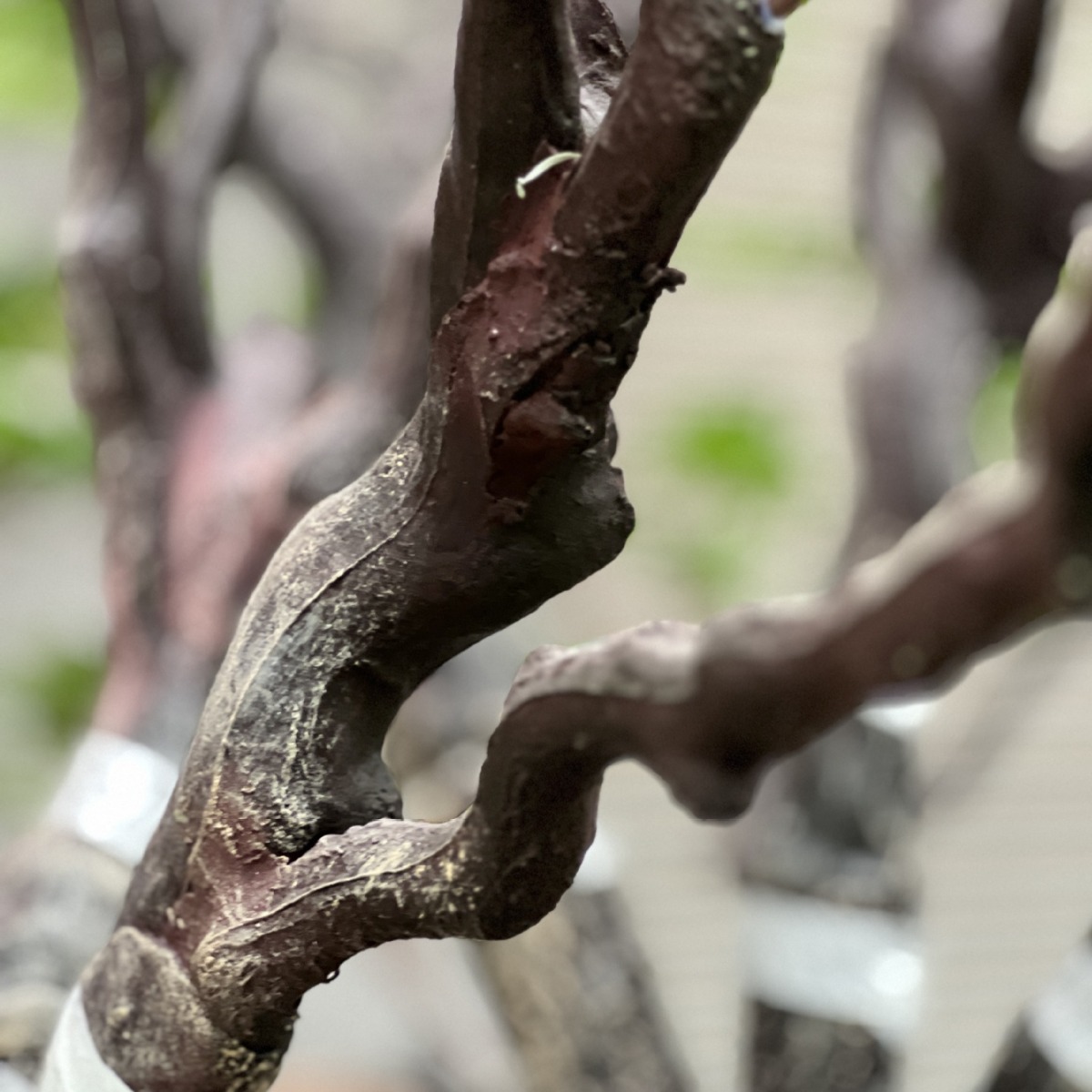 Escenografía de simulación de árbol de campana de simulación de estilo nórdico