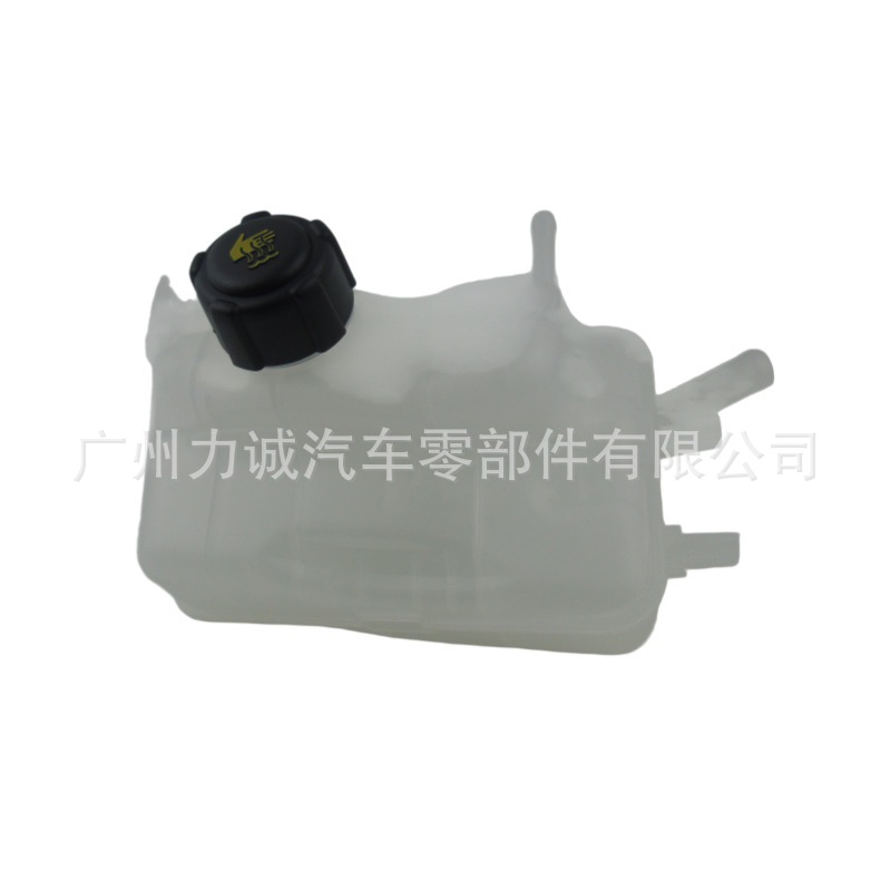 Cross-Border E-Commerce Foreign Trade Supply and Wholesale Suitable for Models Renault Auxiliary Water Tank with Cover 217100005R