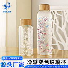 变色玻璃乐品乐茶550大容量高硼硅温变玻璃冷泡杯