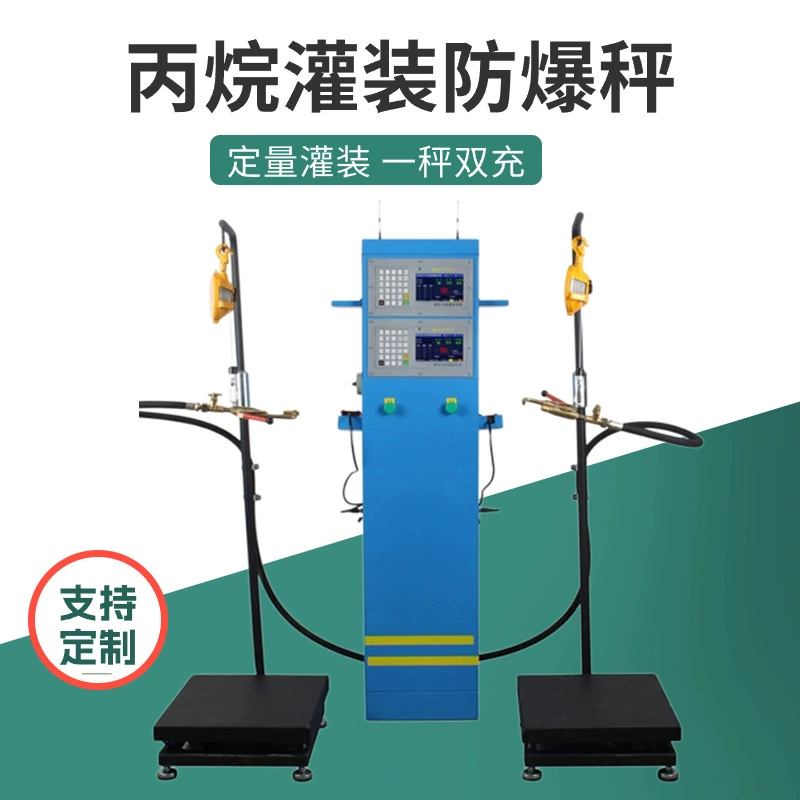 Электронные весы с двойной зарядкой пропана в шкафу взрывозащищенные электронные весы