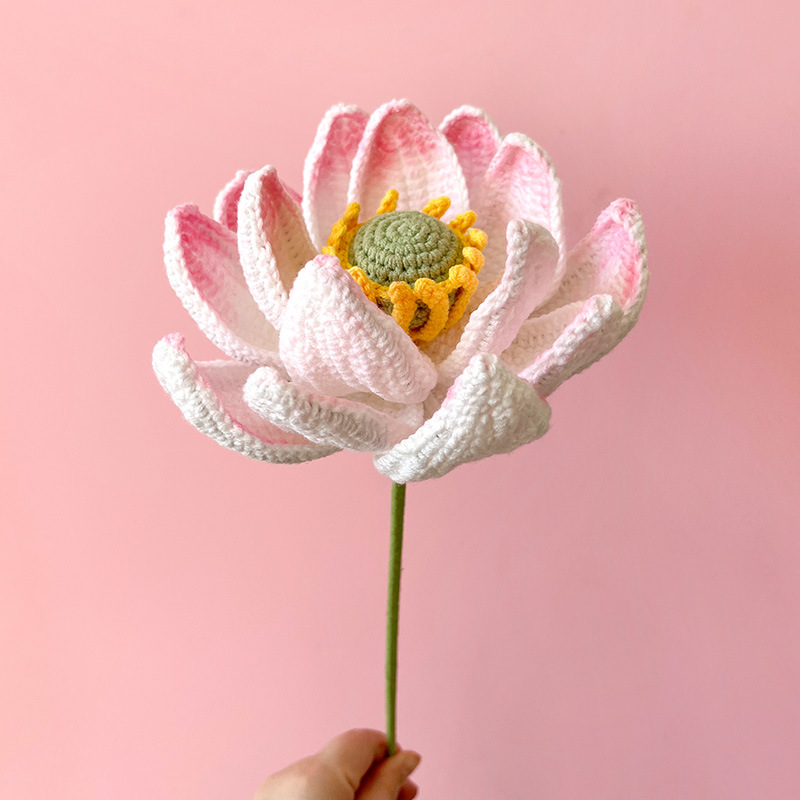 Simple Style Classic Style Flower Dried Flower Imitation Plants display picture 4