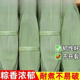 干粽子叶大张干棕叶大号新叶包粽子的叶子端午节家用