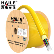 ��ģ�҃ȹ��w���|9/125 GJFJH-12b1.3 �͟��o�u����ܛ���|4о-48