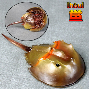 ���溣������ʷǰ���A�c�R��зģ����ߌ������z��ͯ�J֪�Y��
