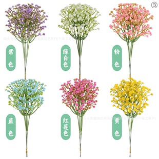 �羳 ���� ��Y��c�b� �M�������� ���� �[�� �ٻ� ������ ����