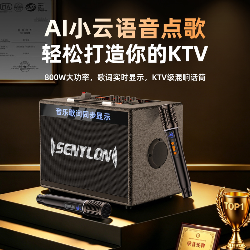 Cross-border best-selling outdoor karaoke speaker, high-volume home KTV karaoke all-in-one machine, suitable for square dancing, Bluetooth speaker