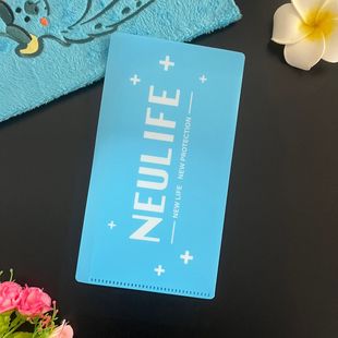 Shenzhen Manufacturer Pp File Bag, Cute Blue File Bag Pp Bill Storage Folder