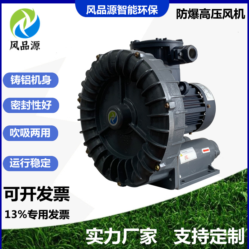 批发零售特氟龙防腐旋涡气泵 变频防爆高压风机 隔爆粉尘气体输送