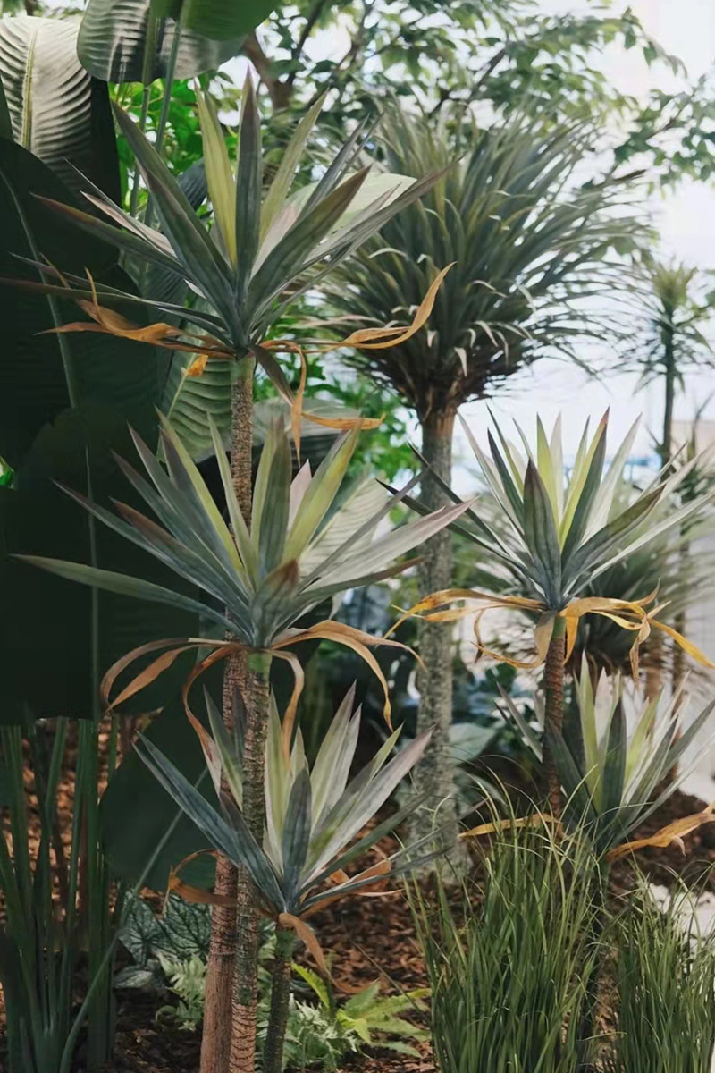 仿真绿植造景装饰室内剑麻龙舌兰微景观搭配简约软装植物仿生假树