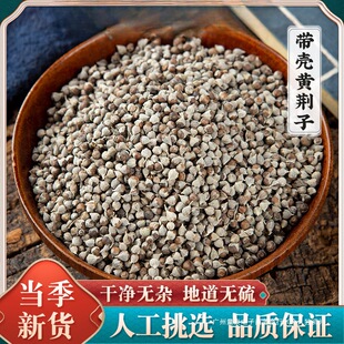 �S�G�Ӳ�500��Ұ���S�G��ĵ�G����؛���G�����S�G����ζ�Ӱ��b