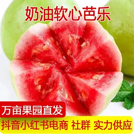 苹果;其他水果;梨