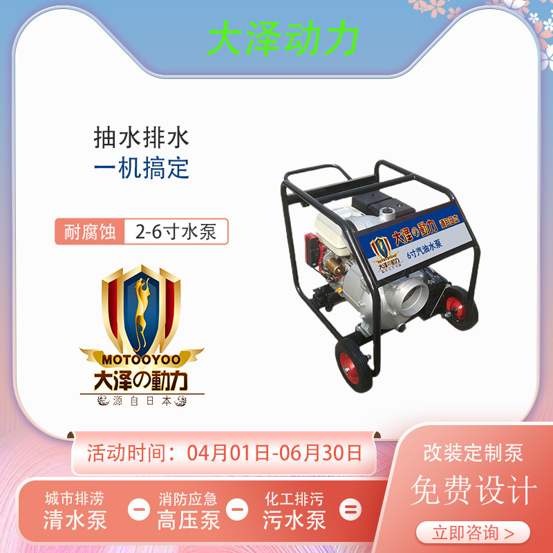 大泽动力6寸汽油动力水泵 市政排污园林绿化 TOTO60EW-S 抽排水机|undefined