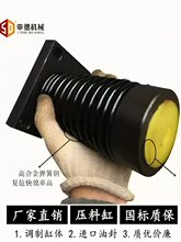 ����C���_���QC12YҺ������C���_���ϸ׸ߺϽ����ɸ׏S�N����