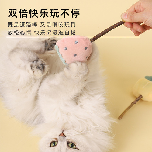 New fruit series Mu Tian Polygonum cat tea stick four pieces cat pet supplies toys wooden self-hyper teething stick