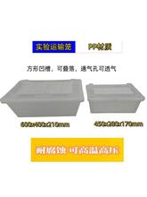 С\ݔ\ С\ \ B\ \ݔ ͸ߜ