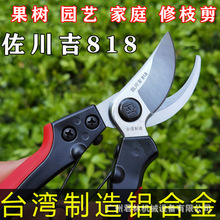 ̨��������818��֦������֦���޻��������ժ�@�ֈ@ˇ������֦��