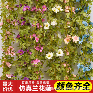 �羳�����m���v�m���ڒ컨��ë���m���l��c�������b����l