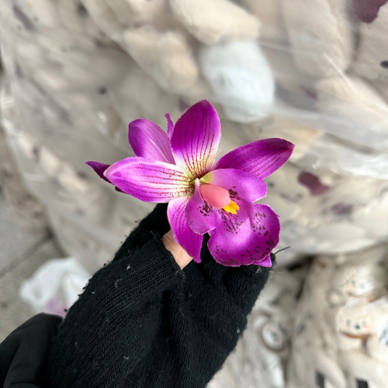 밝은 보라색