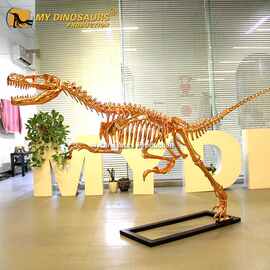 玫瑰金镀金玻璃钢迅猛龙骨架 室内装饰商场景区餐厅特色创意摆件