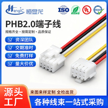 PHB端子线2.0mm双排带扣公母连接线智能门锁端子线PHSD信号排线