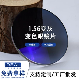 眼镜片;其他眼镜