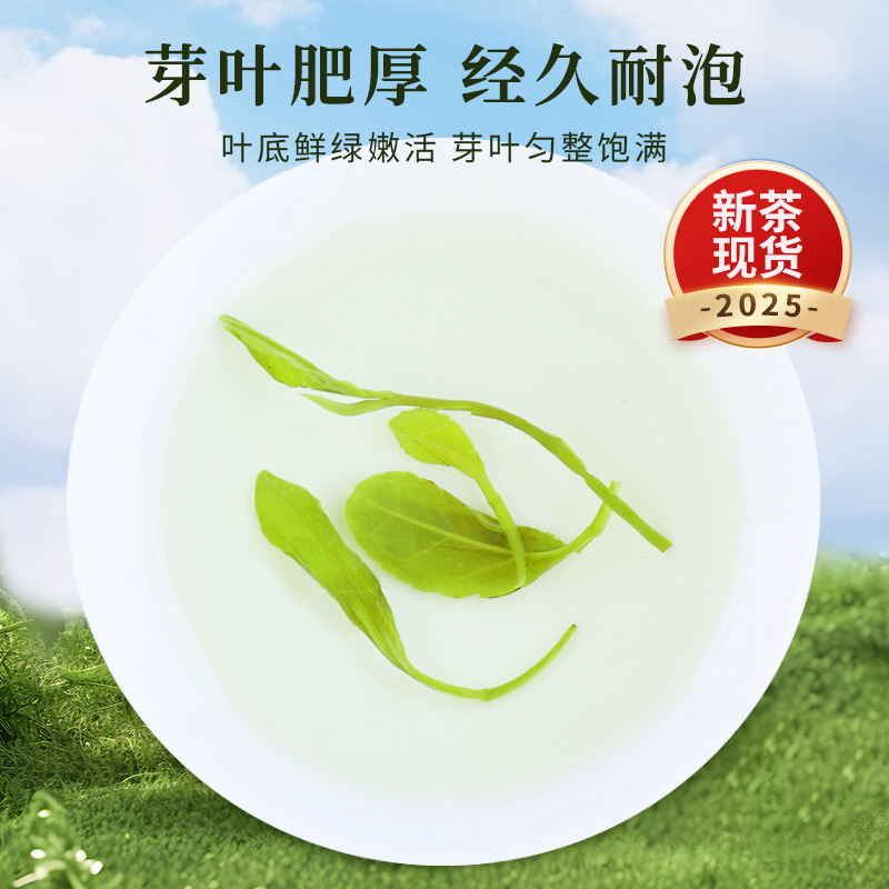 Yunwu Green Tea 2025 Новый чайный кузов ароматный чай оптом Songyang Rizhao сильный аромат половина фунта мешка жареный зеленый чай