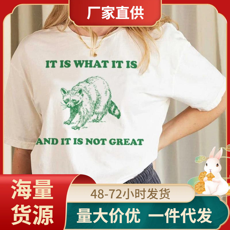 This Is What It Is Raccoon Terrier T-Shirt Women Fun Mental Health Graphic T-Shirt Unisex Vintage