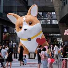 ĭܼɽֲͨqѩcݵĭģѩ