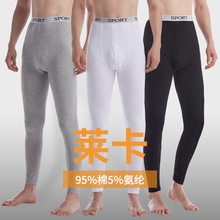 莱卡棉男士秋衣单秋裤青年修身保暖裤纯棉线裤男打底裤棉毛裤舒适