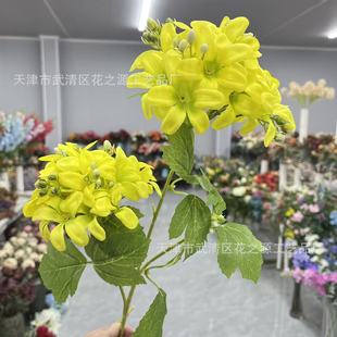 �¿ɫľ���� ��c��Y�ò����ҾӔ[�Ž���ˇ�b����쾰��