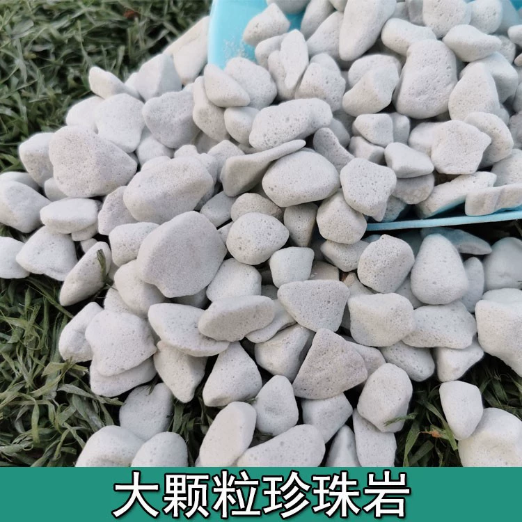 Твердые частицы перлита Большая садоводческая Орхидея Роза Дендробиум Мясистое питание Мощение почвы