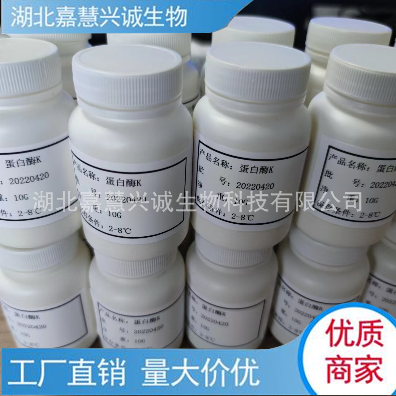 蛋白酶K 活性70U/mg 稳定性强 CAS：39450-01-6 现货销售