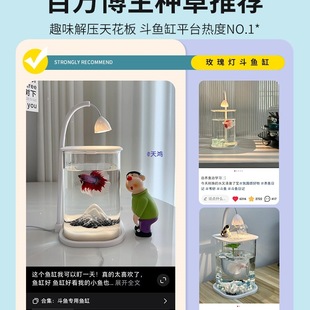 2025�¿�~��С�;W�t�����׿͏d�����^�p�~�쾰�k���ҹ�λ�~��