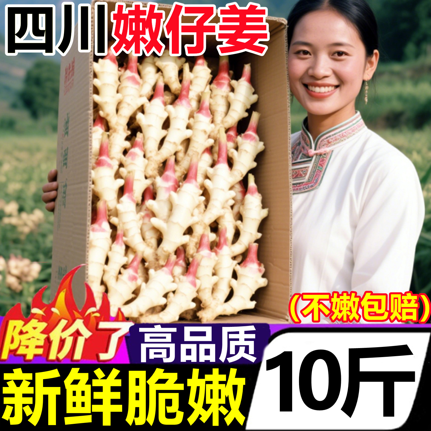 四川姜芽嫩姜10斤鲜姜新鲜嫩子姜腌制泡姜仔姜嫩姜芽嫩生姜农家姜