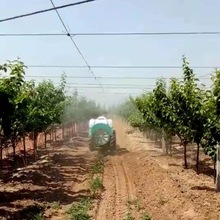 ¿Lʽ@șC rù䇊F C܇d߉FC