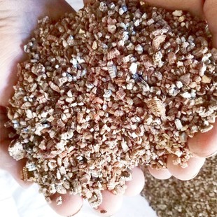 ���l���S��Û��ʯ������ʯ�@ˇ�Nֲ����͸�⽨�B������ʯ��