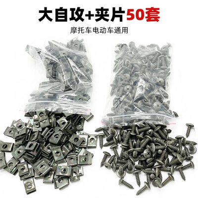 Other Electric Vehicle Accessories Iron Sheets, Cards - large-self-tapping-screws-clips-50-sets