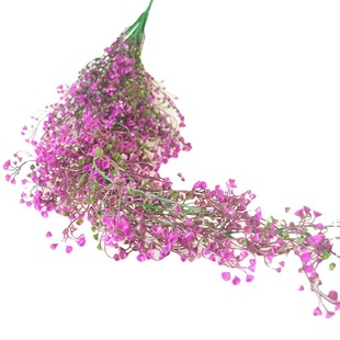 �����ٗl���R���ڒ��b��ٻ��ٗl�͏d�����bS�����l���@���