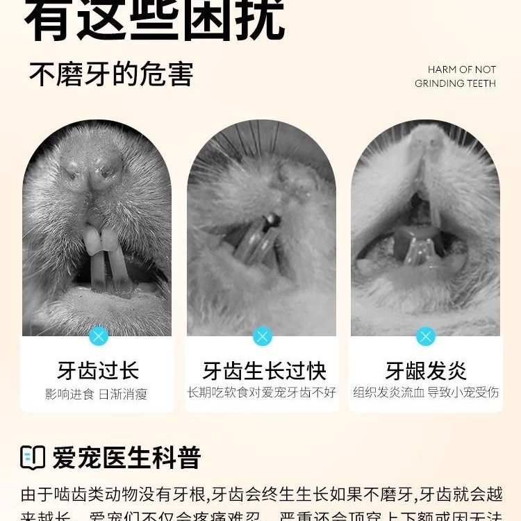 f0278e37-3fed-4020-b2b4-7e3989e03aac.jpe