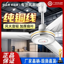 电风扇;大功率风扇;电饭煲/锅