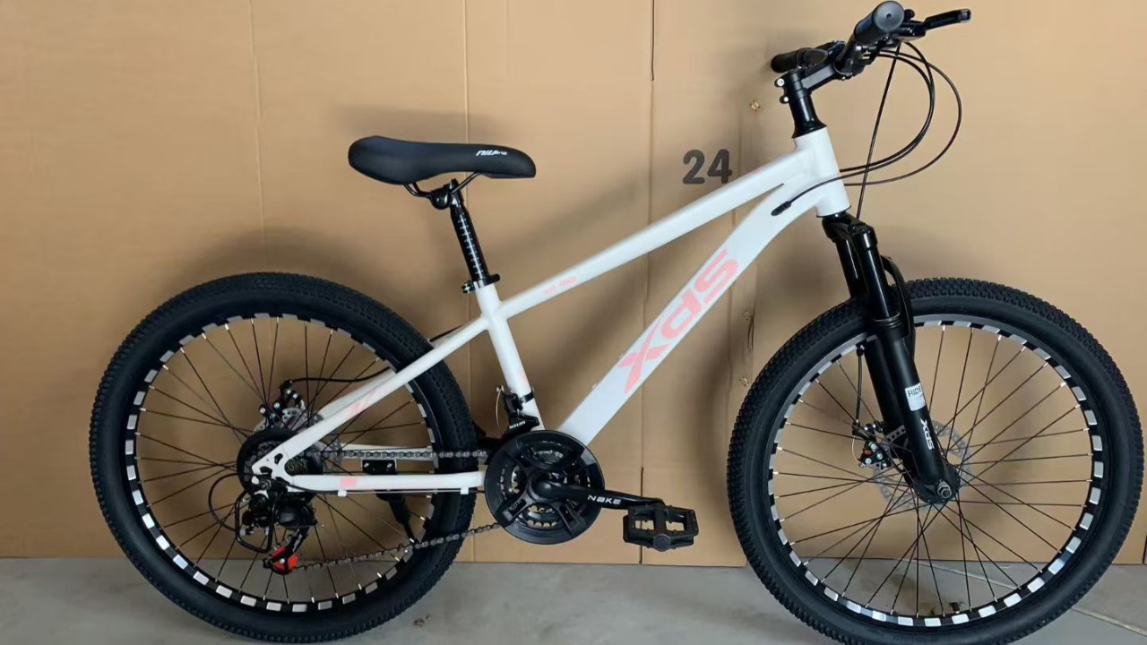 24 / 26 pulgadas para adultos bicicletas de montaña de velocidad variable amortiguador para estudiantes de bicicleta de montaña compra de regalos