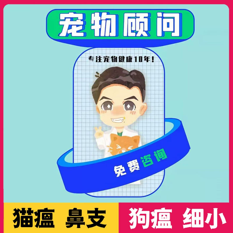 Больница для домашних животных Врач для домашних животных Онлайн-консультация Ветеринария для кошек Онлайн-консультация Запрос для кошек и собак Ветка кошачьего носа