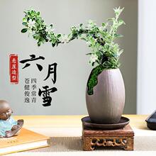 ��������ѩ�辰ľɰ���҃ȾGֲ�������ԑ����Ϙ��ļ����B����[��