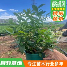 ����Y���{ݮ�������Ϸ������ļ��̨ˮ����NֲͥԺ���N�������