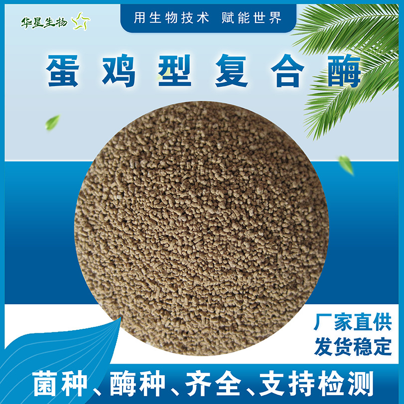 华星生物 蛋鸡型复合酶 鸡用生物酶制剂 养殖饲用饲料添加剂原粉
