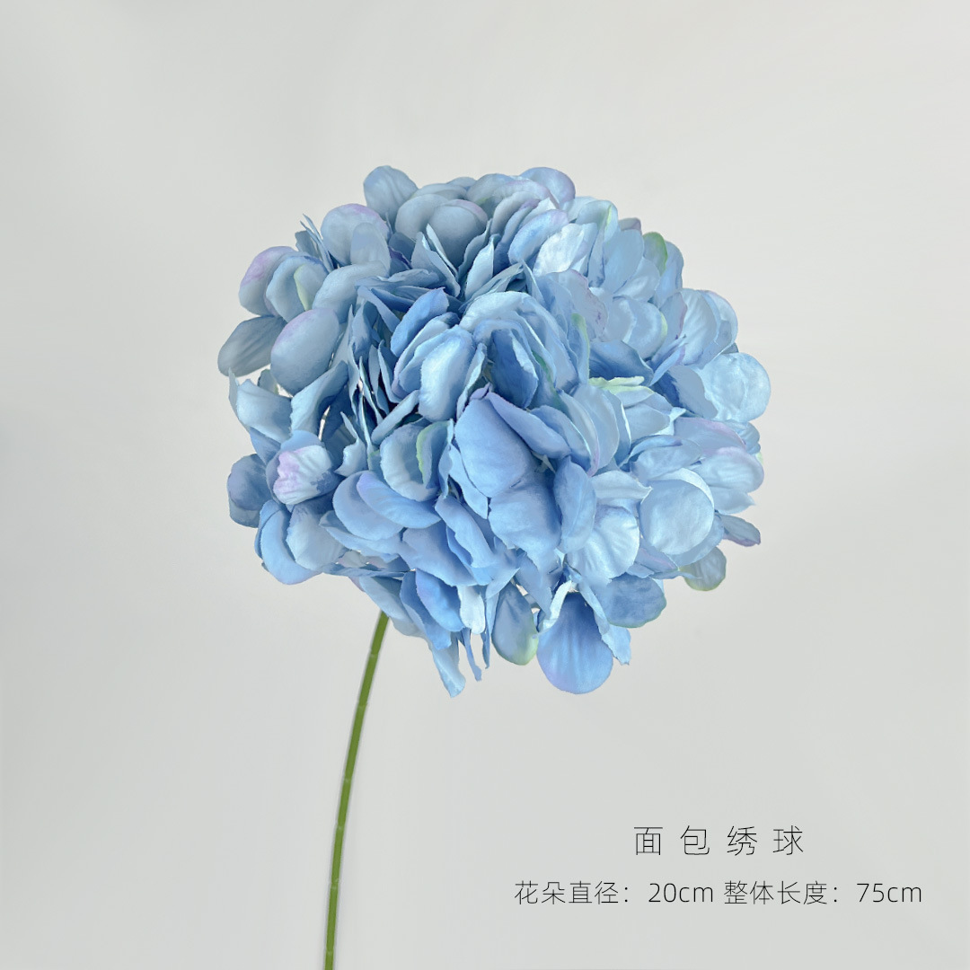 天蓝色.jpg