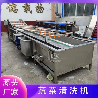 定制款蔬菜清洗流水线 气泡式菠菜油菜清洗去泥机 商用蔬菜清洗机