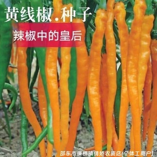 ��ζ�S�����N�Ӵ�ȫ��Ƥ�������S�������N��ԭ�b�N�Ӵ�ȫ���l���l