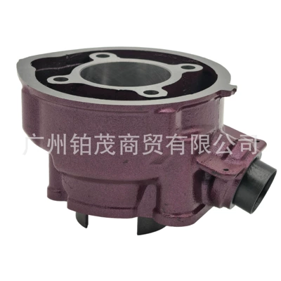 Aprilia Rs50 49mm Cylinder – Cylinder and parts